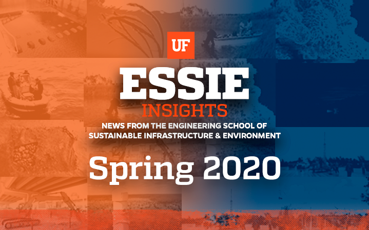ESSIE insights - spring 2020