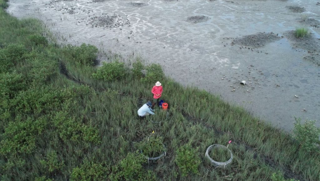 Researchers work on the Florida coastline.