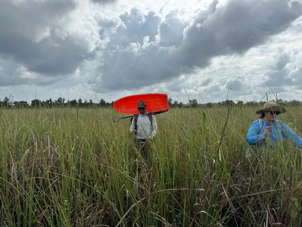 Gavriel Cambridge and Isabella Saldarriaga make their way through dense vegetation